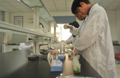 如何建設(shè)科研類恒溫恒濕實驗室