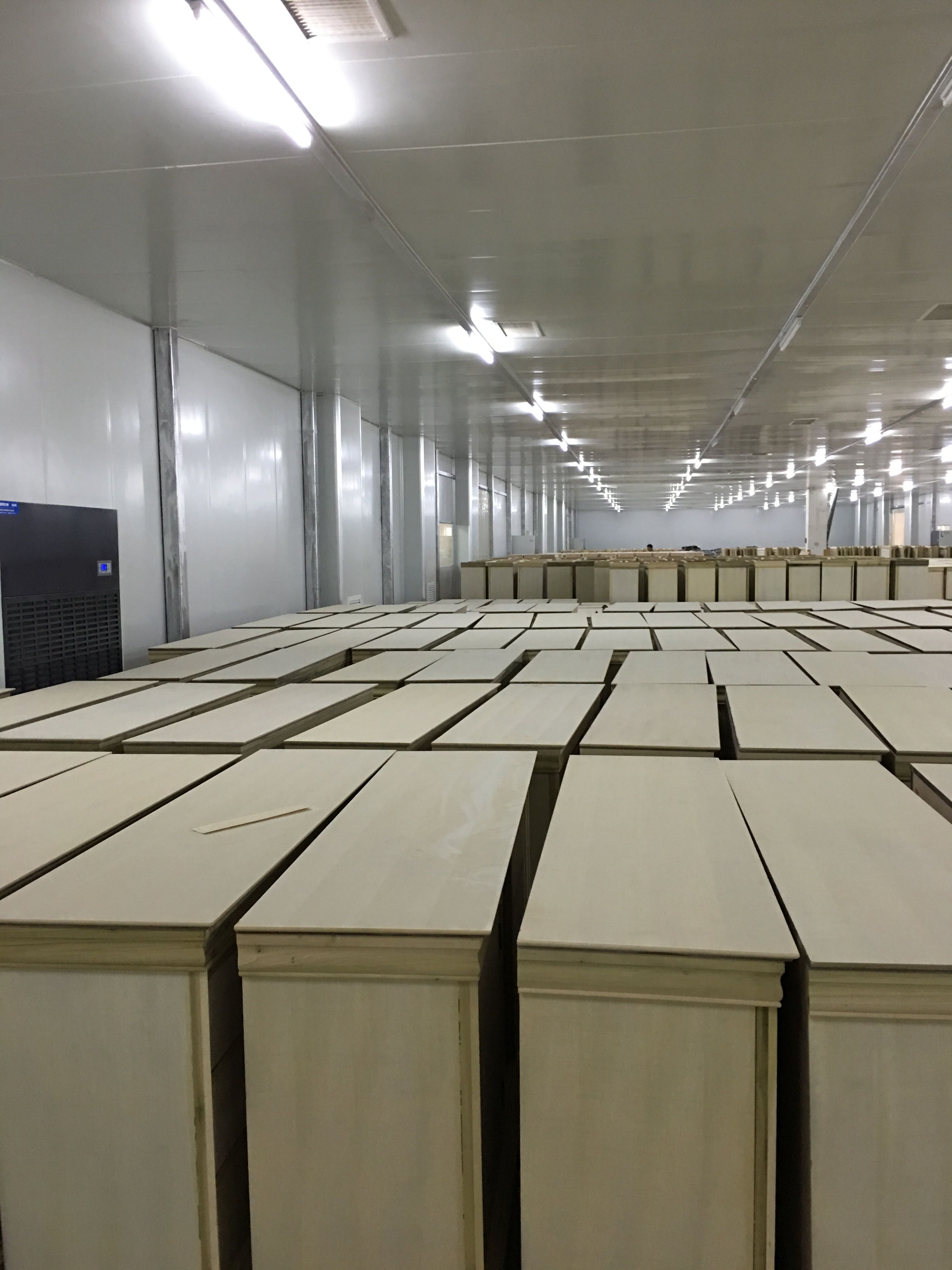 木材養(yǎng)生房施工