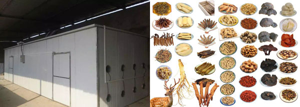 中草藥烘干房詳細(xì)介紹