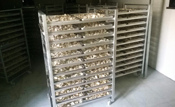 長(zhǎng)沙烘干房建設(shè)需要特別注意的兩點(diǎn)