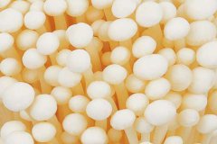 食用菌冷庫工程改造需要注意的三點(diǎn)