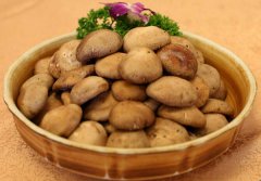 食用菌工廠化通風(fēng)在南北方差異