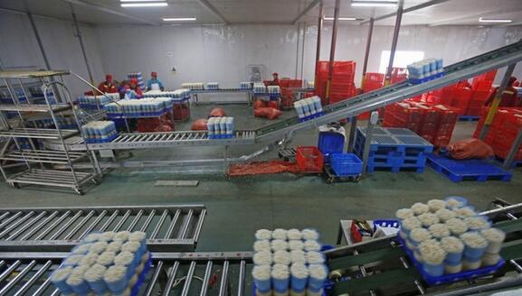 金針菇恒溫恒濕庫