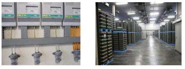 食用菌工廠化優(yōu)勢